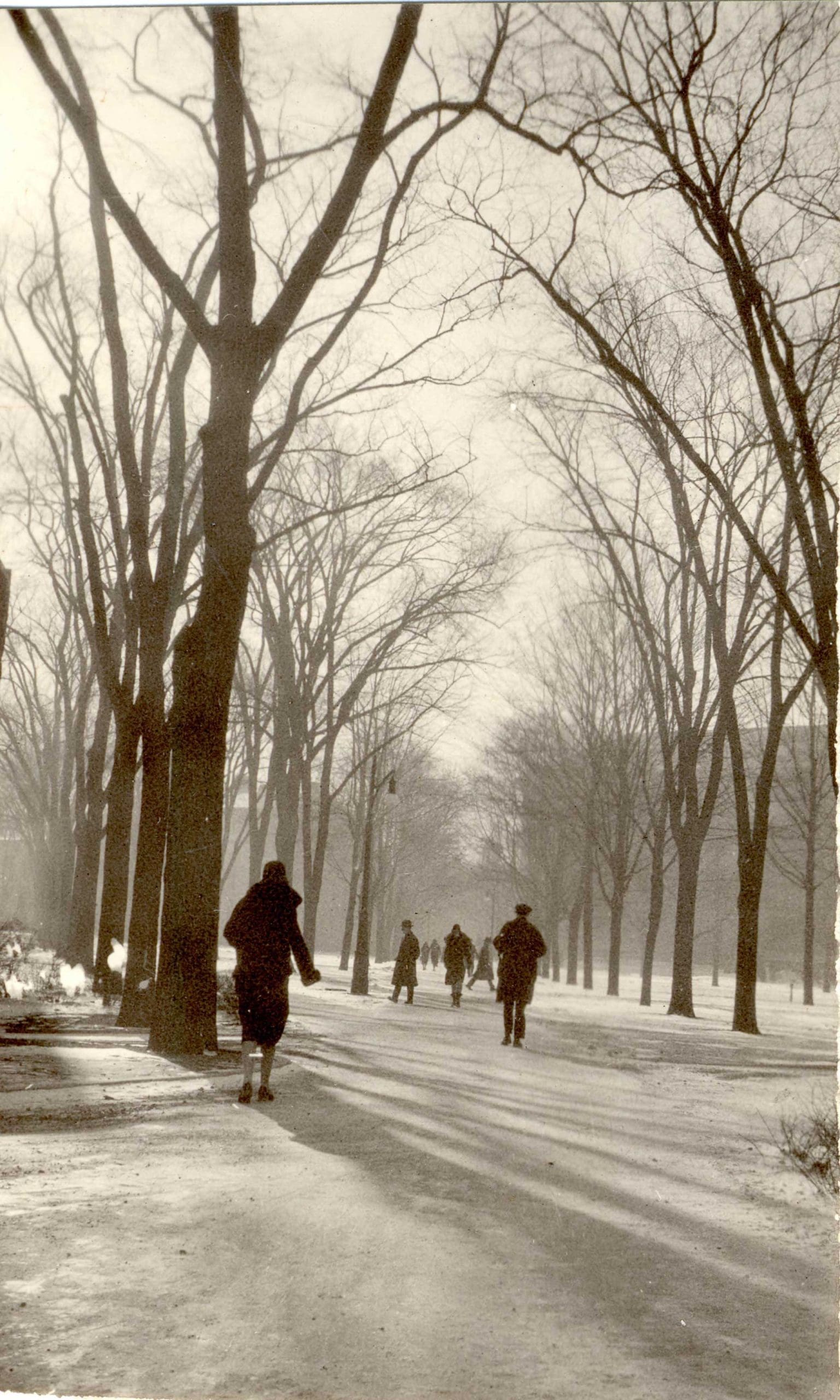 People crossing a snowy street corner on the Ann Arbor campus.