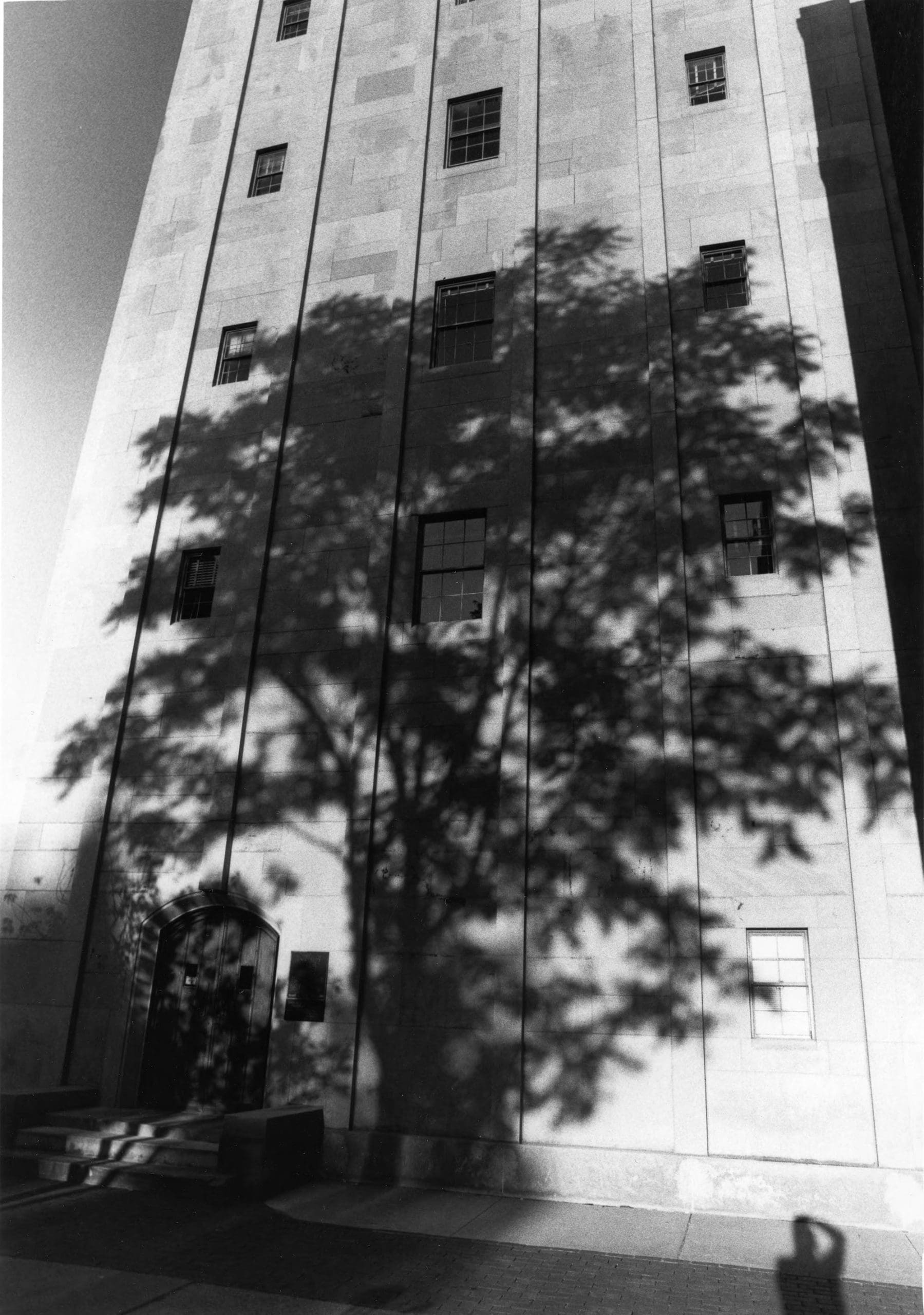 Shadow of tree on Burton Memorial Tower
